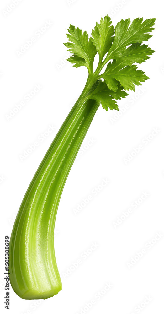 Fototapeta premium Fresh, vibrant green celery stalk with leafy tops, showcasing natural texture and shine on transparent background.