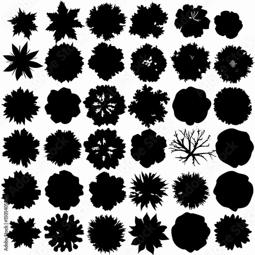 36 Black and White Treetop Silhouettes: Overhead View