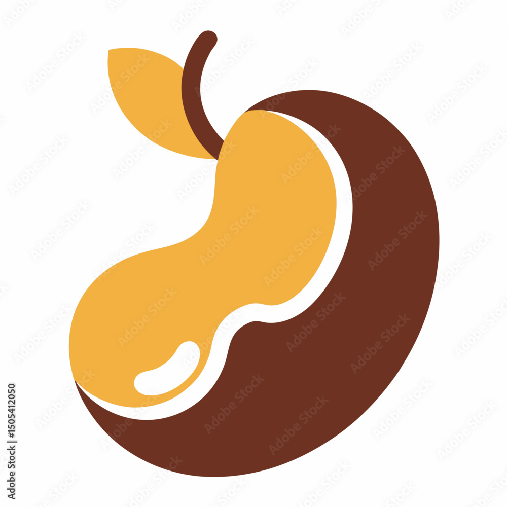 Fototapeta premium vector illustration of a peanut on white background