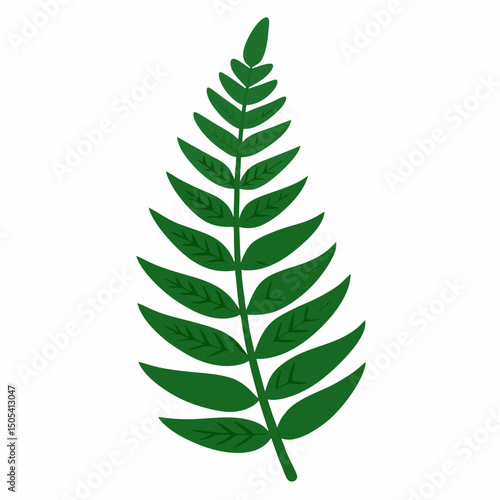 green leaf isolated on white background