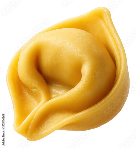 Close-up of a single uncooked tortellini pasta piece with a smooth, folded appearance.
