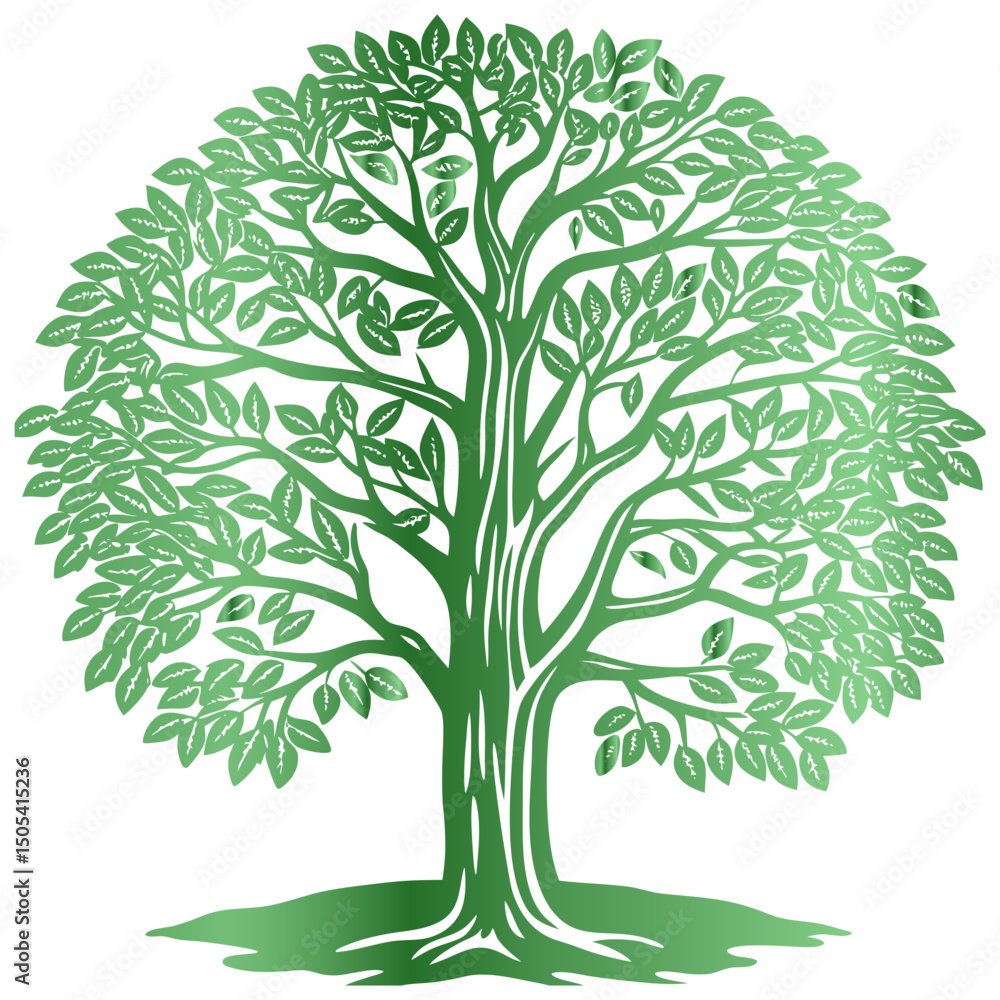 Fototapeta premium green tree isolated on white with a beautiful tree with vector design and illustration