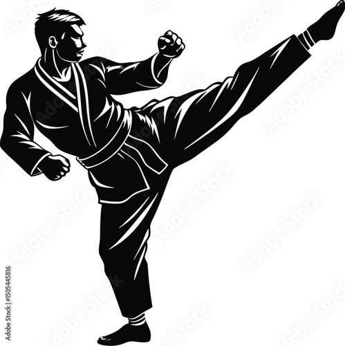 karate master in high kick pose silhouette