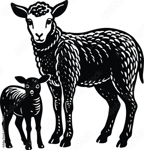 lamb standing beside ewe