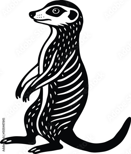 meerkat standing on two legs