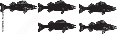 Walleye Fish Icon Silhouette Vector Illustration
