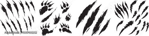 Claw Marks and Paw Prints Vector Set, Isolated on White Background.