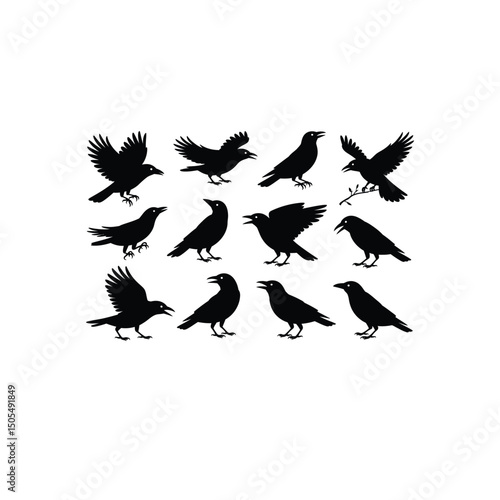 Set of bird crow vector art illustration