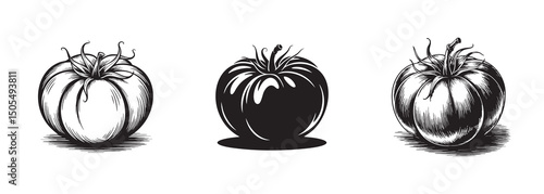 heirloom tomato , fresh vegetable vector for healthy food and cooking ingredients