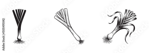 set of leek icons, allium vegetable vector, healthy cooking and agricultural produce
