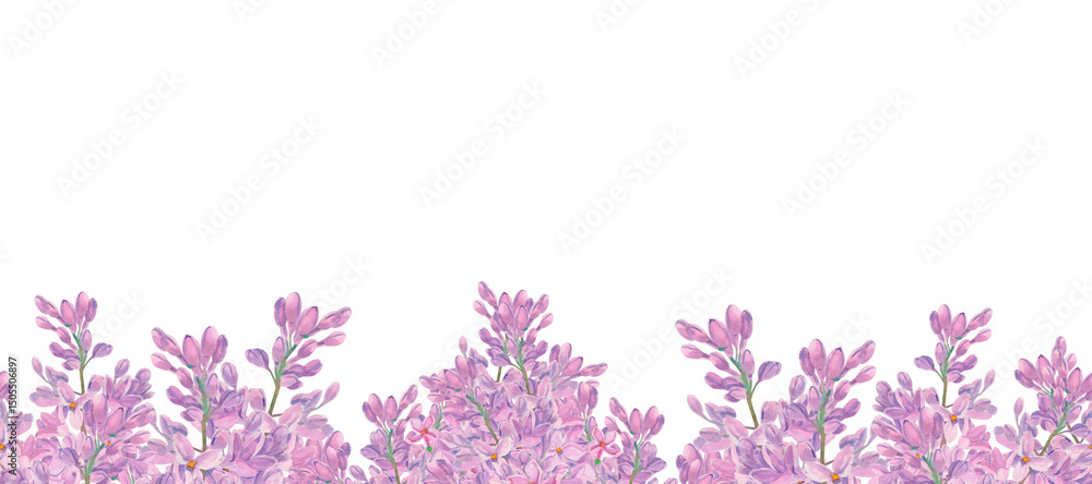 Obraz premium Lilac watercolor flowers sprigs. Template with copy space isolated on white. Spring syringa seamless frame, border. Purple blossom of summertime. Botanical floral background. Clipart for design.