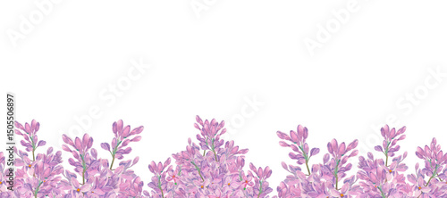 Lilac watercolor flowers sprigs. Template with copy space isolated on white. Spring syringa seamless frame, border. Purple blossom of summertime. Botanical floral background. Clipart for design.