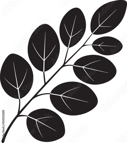 Moringa Leaf Silhouette Black Vector | Herbal, Organic & Botanic Illustration