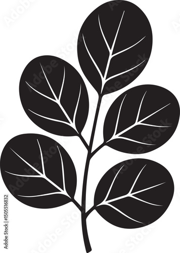 Moringa Leaf Silhouette Black Vector | Herbal, Organic & Botanic Illustration