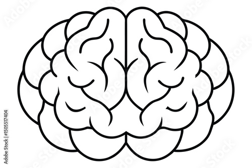Brain line art vector illustration