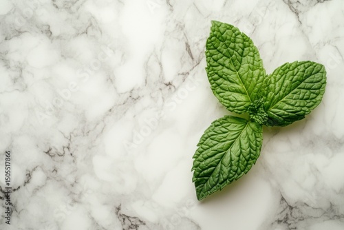 Mint leaf on marble background nature scene high-resolution macro photography minimalist composition aesthetic appeal