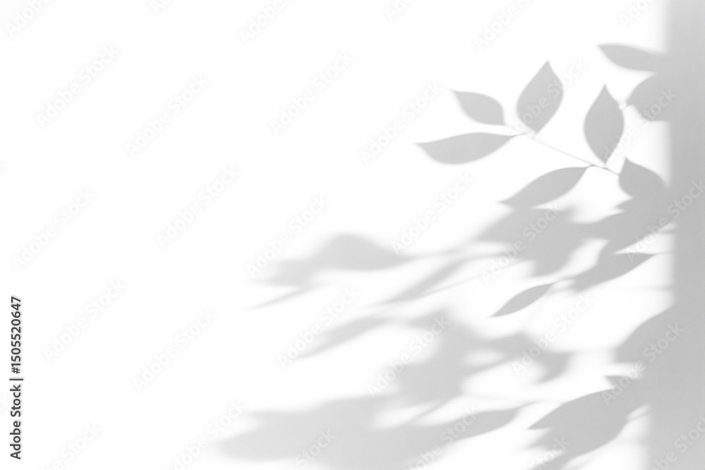 Obraz premium shadow overlay effects of realistic window and tree branch shadow with light blur on transparent background,Summer sunlight and shadow overlay effect