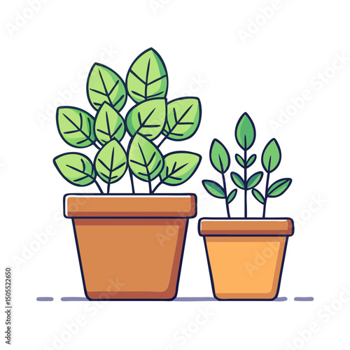 Two potted plants with green leaves bring life and a touch of nature