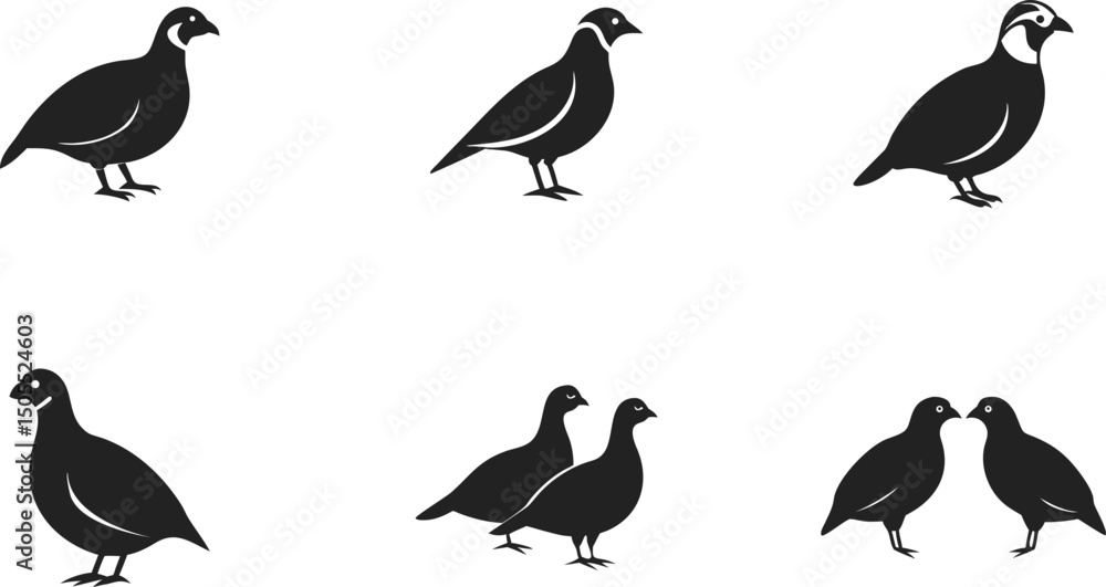 Fototapeta premium A Collection of Six Stylized Black Silhouettes of Chukar Birds Arranged in Two Rows Against a White Background, Featuring Various Poses Including Standing Upright, set of silhouettes of birds