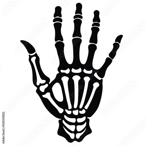 Anatomical Black Skeleton Hand Illustration Bone Structure, Fingers, and Wrist Isolated