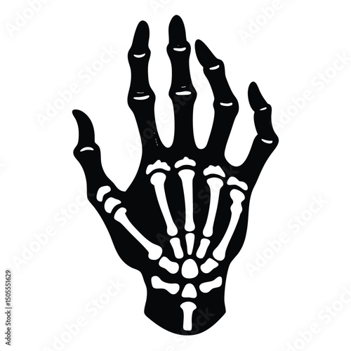 Black and White Skeleton Hand Anatomy, Halloween Illustration,