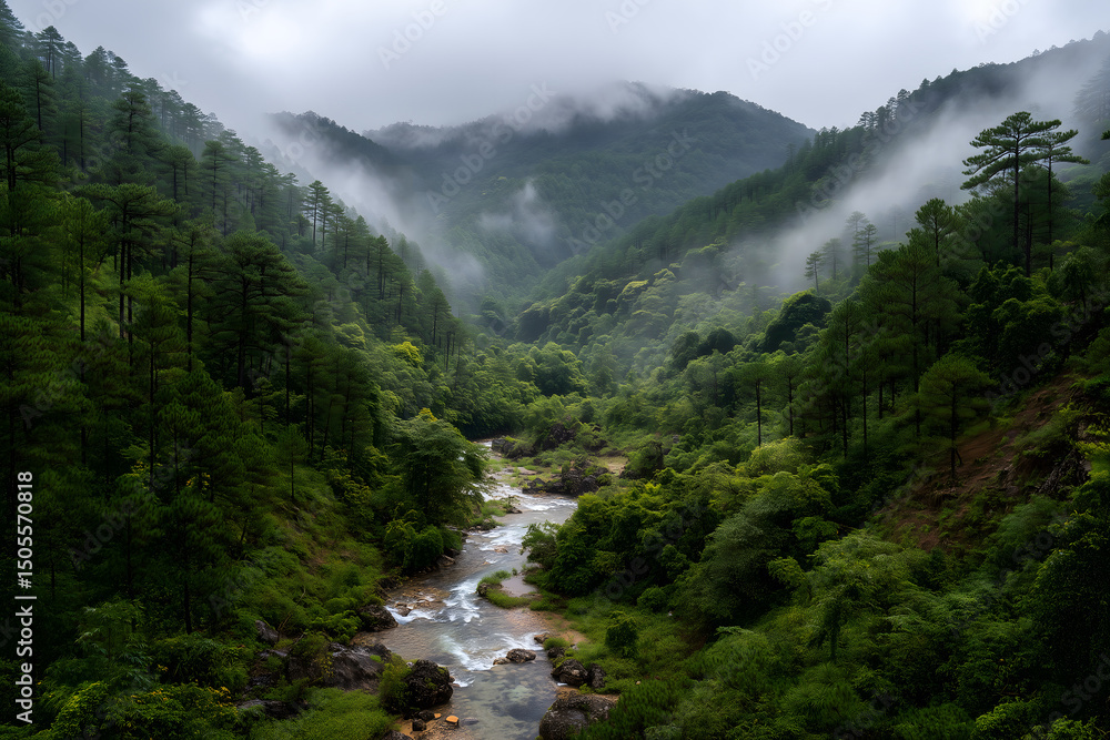 Obraz premium mountain river in the mountains