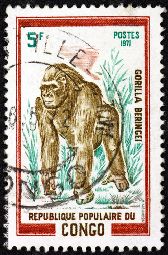 Postage stamp Congo 1972 gorilla, great ape that inhabit the tropical forests of equatorial Africa