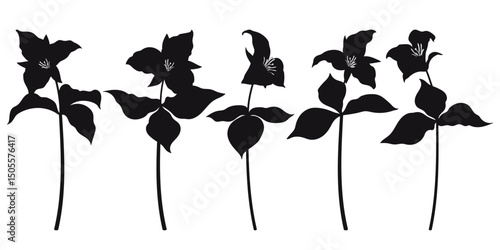 Set with Trillium grandiflorum or wakerobin flower silhouettes in black isolated on white background.