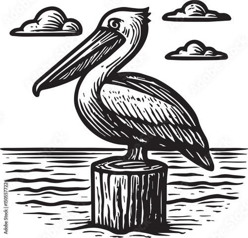 pelican on the beach vector illustration