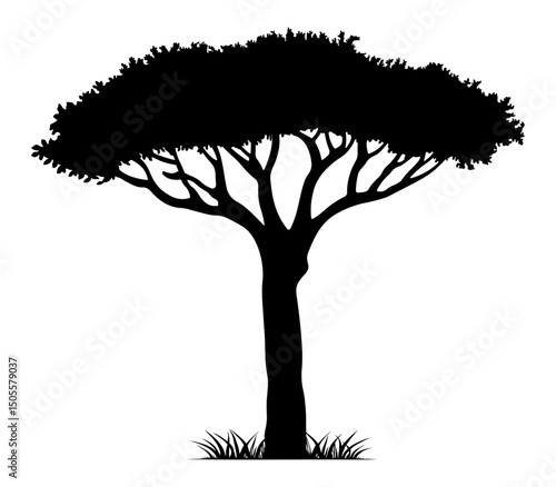 Black silhouette of an African tree with dense foliage and grass at the base. Isolated on white background, ideal for nature, safari, and landscape design themes.