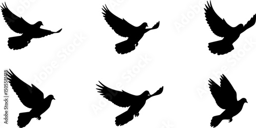 Pigeon silhouette, flying dove silhouette vector
