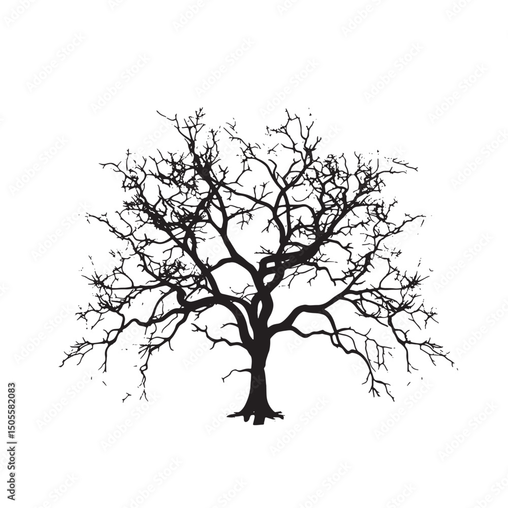 Obraz premium Cotton Tree Outline Graphic