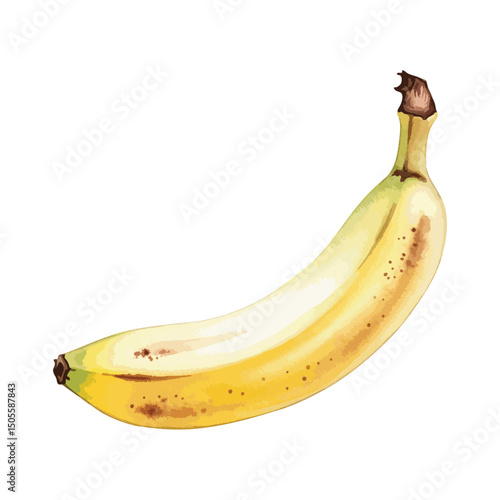 Ripen Single Banana Isolated on Transparent Background – Watercolour Illustration
