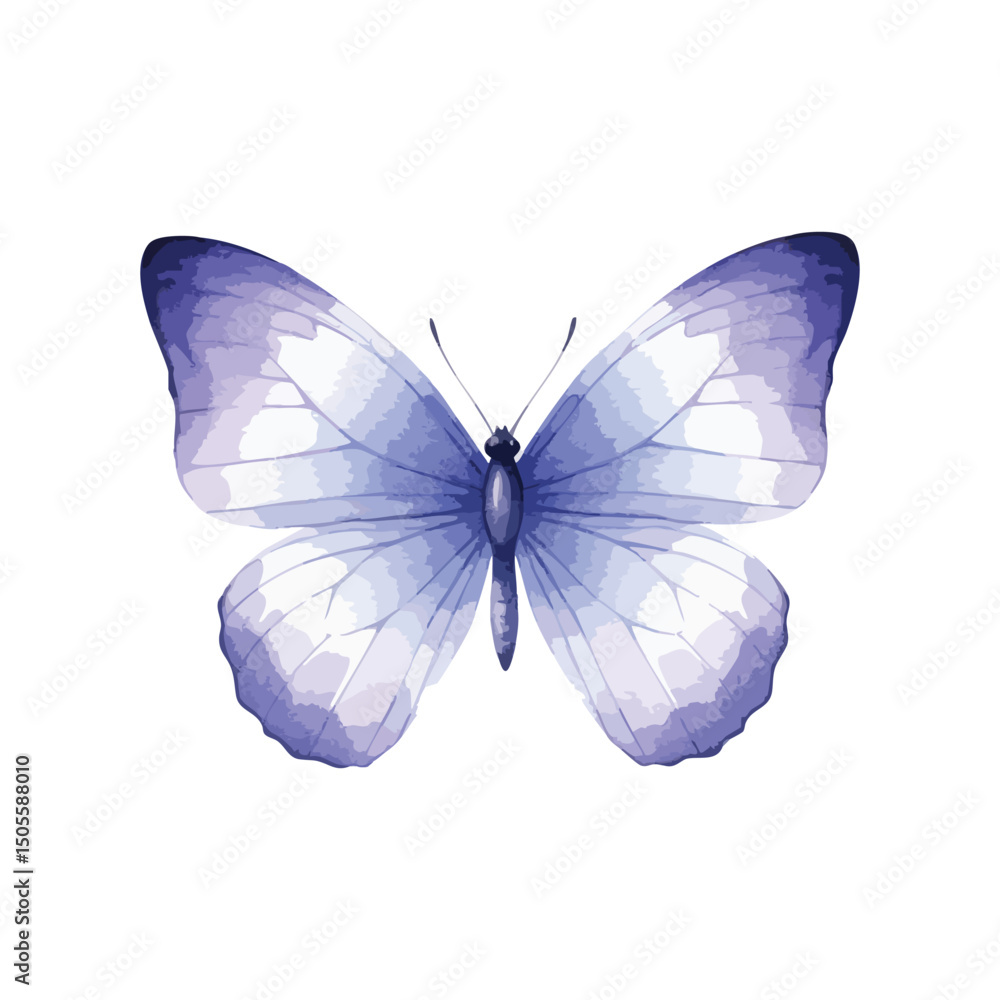 Fototapeta premium Butterfly Isolated on Transparent Background – Watercolour Illustration