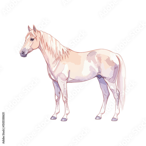 Horse Isolated on Transparent Background – Watercolour Illustration