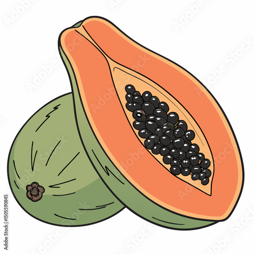 papaya fruit vector