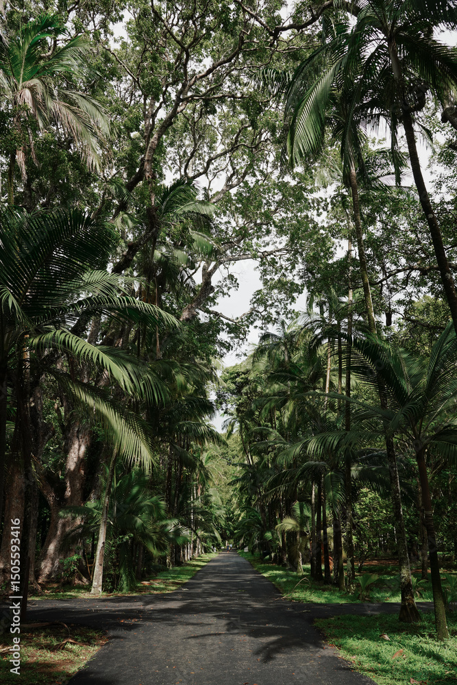 Obraz premium Ile Maurice