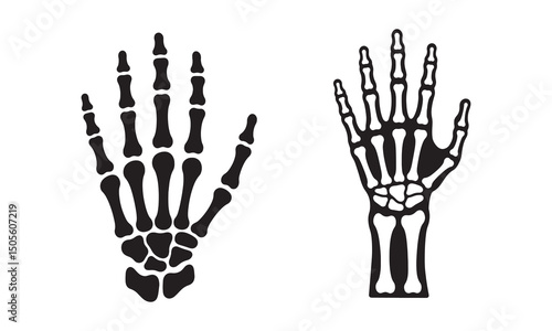skeleton hand silhouette on white background .