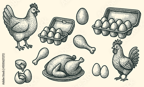 Detailed sketch depicting various chicken products including whole birds and eggs in a carton