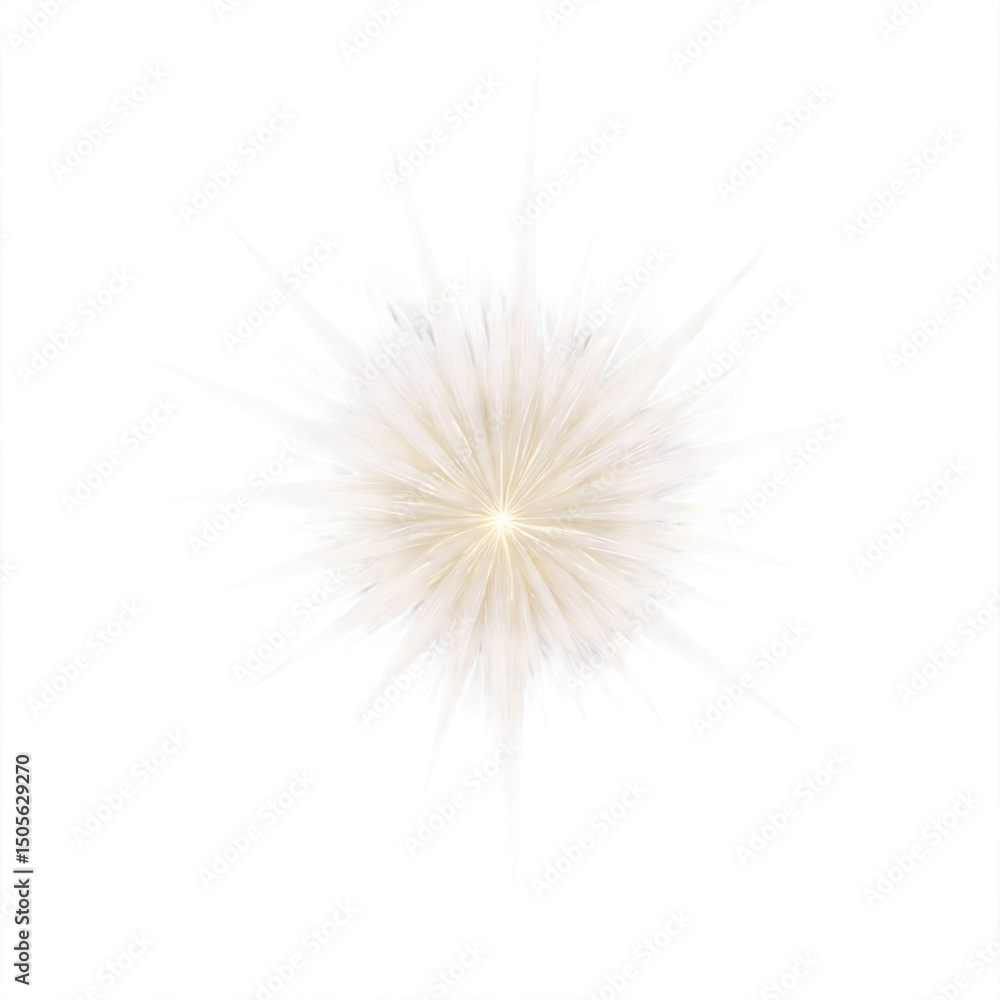 Fototapeta premium Velvet starburst soft ivory on transparent background transparent background isolated png stock