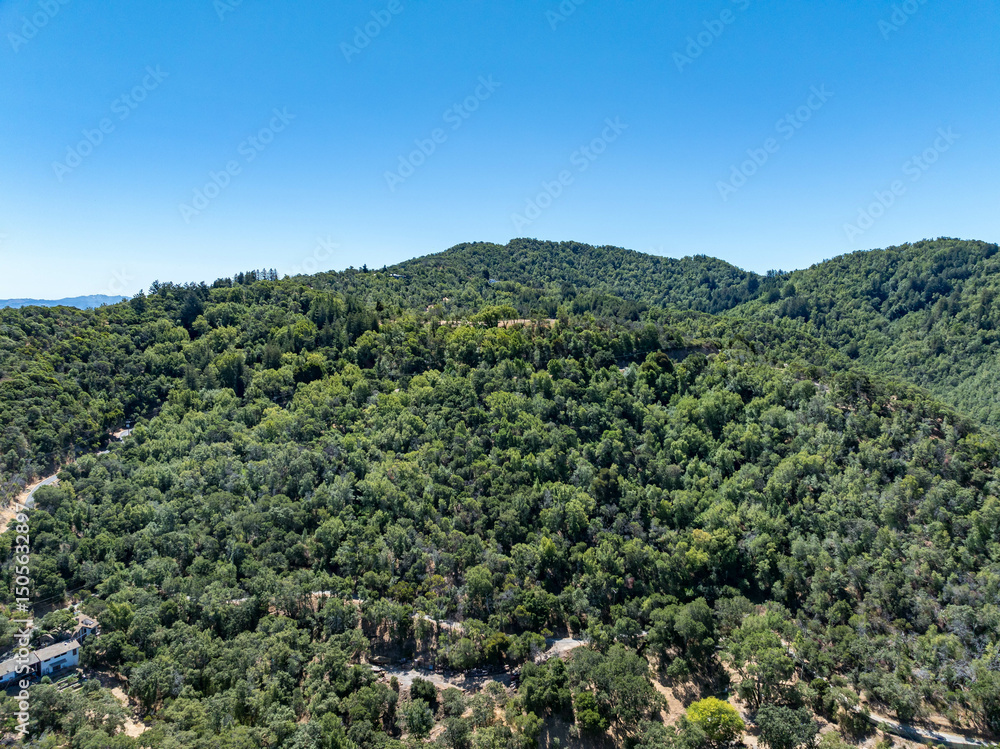 Obraz premium Aerial photos of a forested hillside in San Rafael, California, highlighting dense tree coverage, winding roads, and panoramic views of surrounding hills, residential properties, and the San Pablo Bay