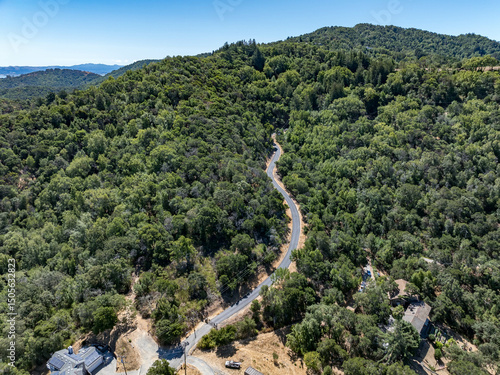 Aerial photos of a forested hillside in San Rafael, California, highlighting dense tree coverage, winding roads, and panoramic views of surrounding hills, residential properties, and the San Pablo Bay
