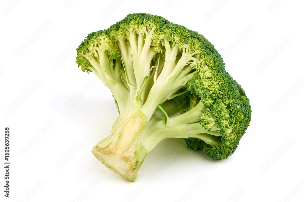 Fresh Broccoli Head Isolated on White Background. Fresh Broccoli Head Isolated on White Background.
