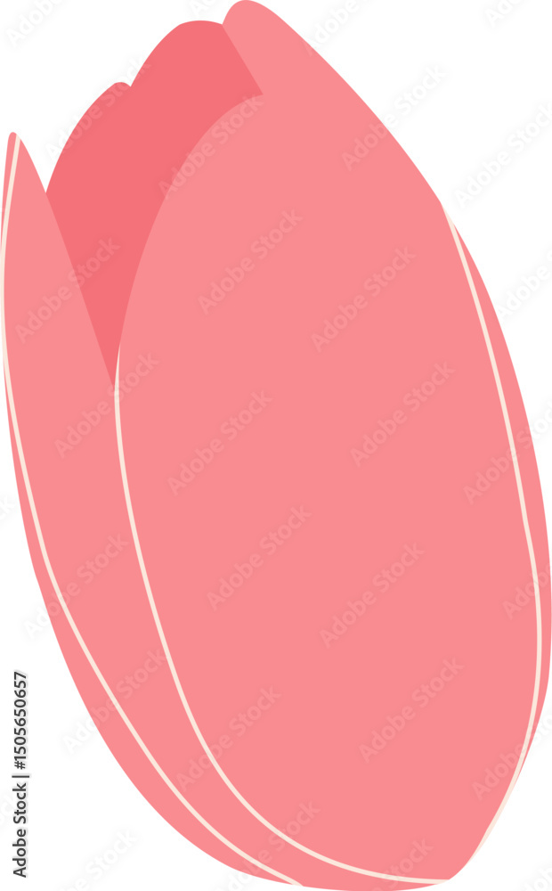 Pink Tulip Flower Illustration Pink Tulip Flower Illustration