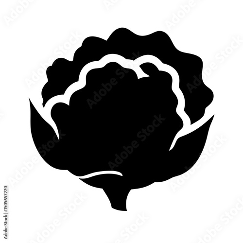 Silhouette cauliflower icon on transparent background for web and graphic design