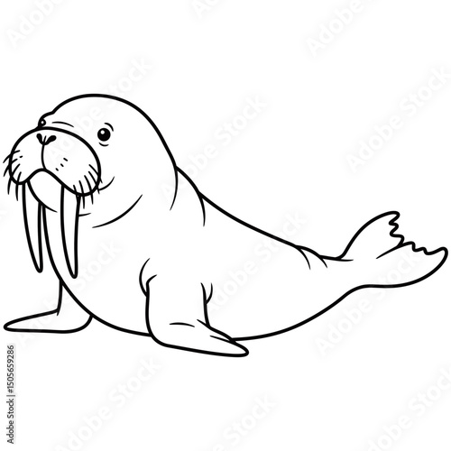Detailed black and white line drawing of a walrus in a relaxed sitting pose, featuring prominent tusks, whiskers, and flippers, ideal for wildlife education or marine-themed designs.