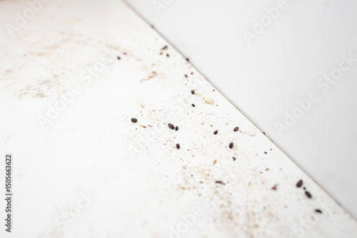 Mouse feces or droppings inside a white kitchen cabinet, pest infestation concept, soft focus close up
