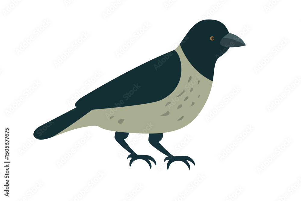 Fototapeta premium A stylized bird illustration featuring dark and light feather patterns, suitable for various media uses.