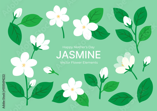 Set of Hand-Drawn Jasmine Flowers with Blooms, Buds, and Leaves in Various Angles for Thailand Mother’s Day