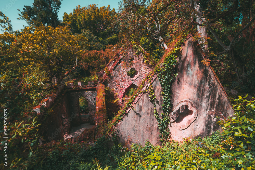 custom made wallpaper toronto digitalEnchanted ruins of an old stone building in the forest of Sintra, Portugal, overgrown with ivy and surrounded by lush vegetation under warm sunlight, evoking a mystical fairytale vibe